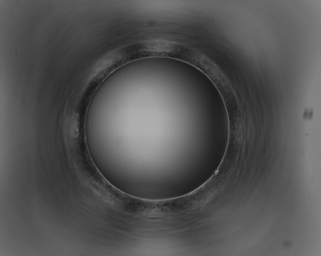 X0000096690731200802051346