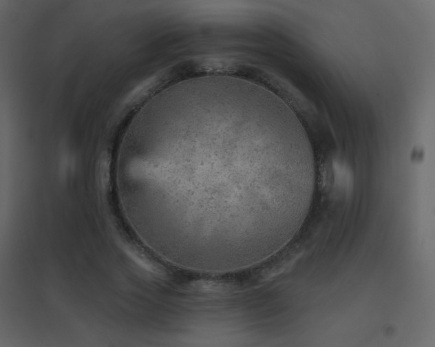 X0000096690733200802051346