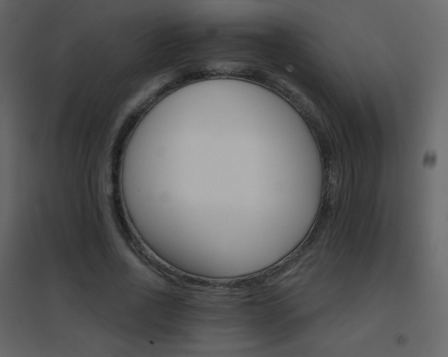 X0000096690734200802051346