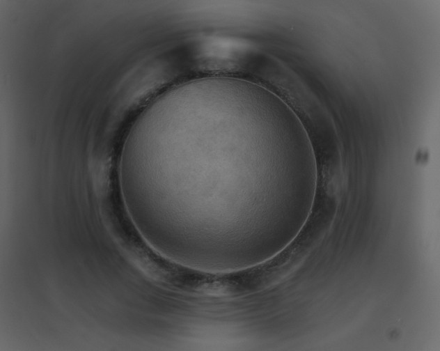 X0000096690735200802051346