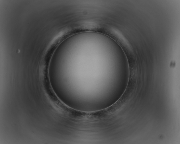 X0000096690736200802051346