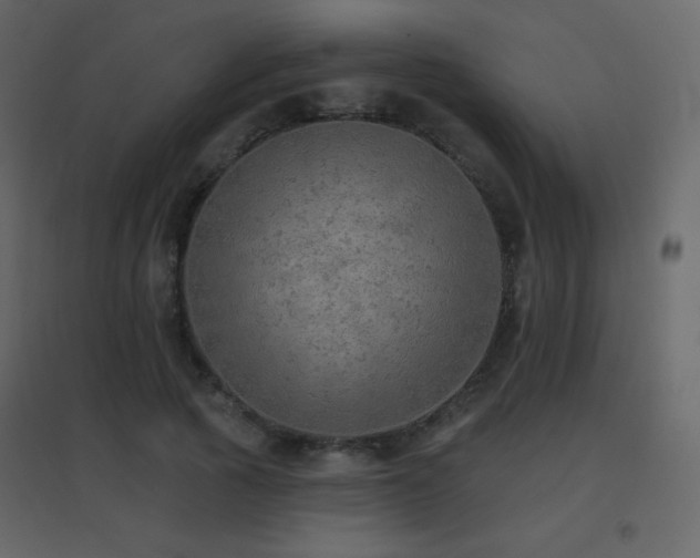 X0000096690737200802051346