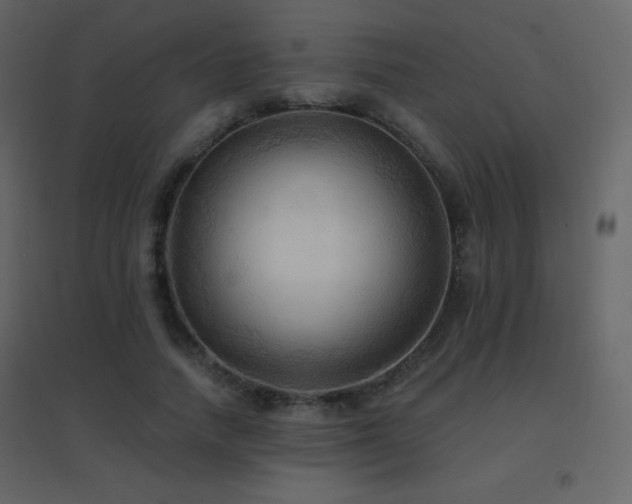 X0000096690738200802051346