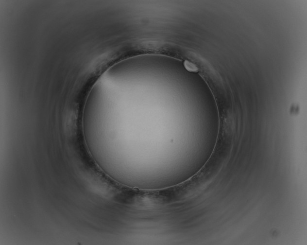 X0000096690739200802051346