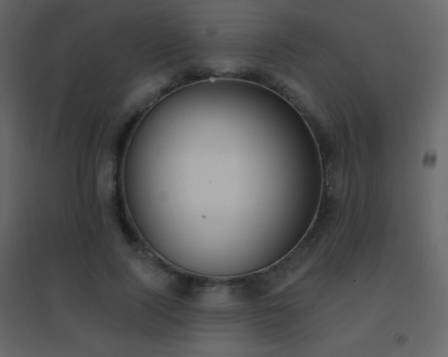 X0000096690740200802051346