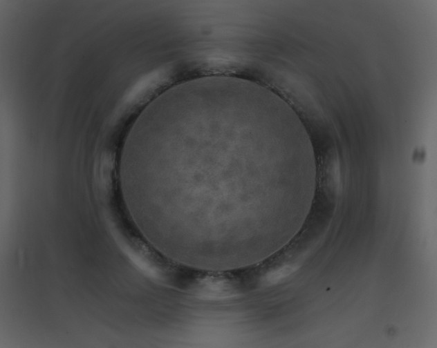 X0000096690742200802051346