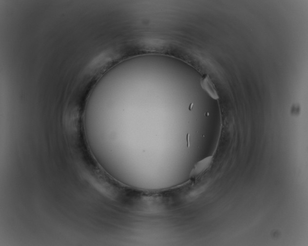 X0000096690744200802051346