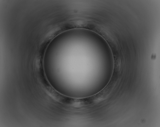 X0000096690746200802051346