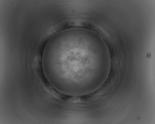 X0000096690747200802051346