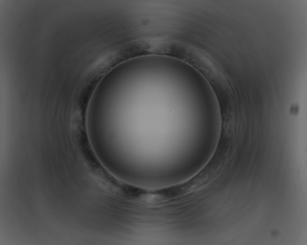 X0000096690748200802051346