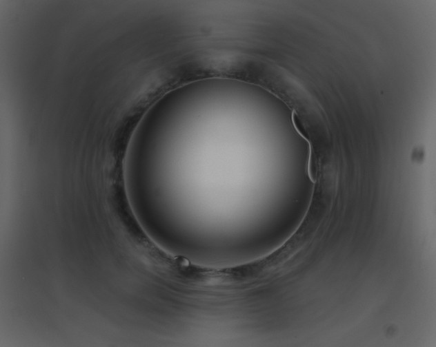 X0000096690750200802051346