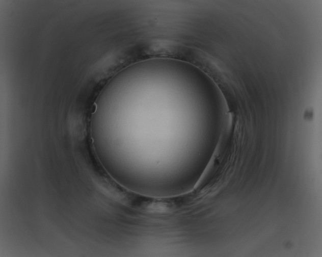 X0000096690751200802051346