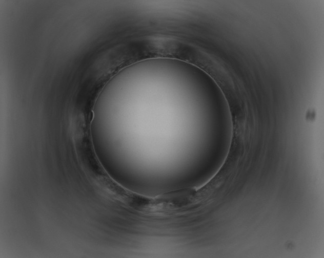 X0000096690752200802051346