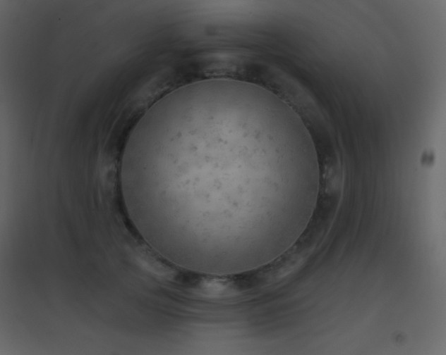 X0000096690753200802051346