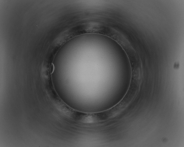 X0000096690755200802051346