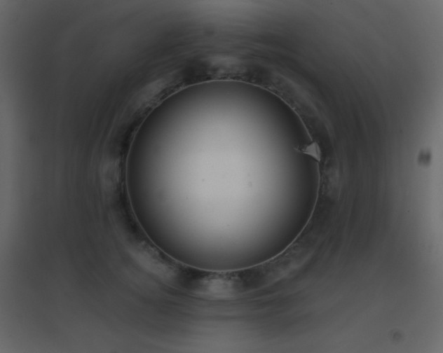 X0000096690756200802051346