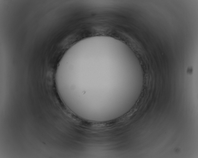 X0000096690757200802051346