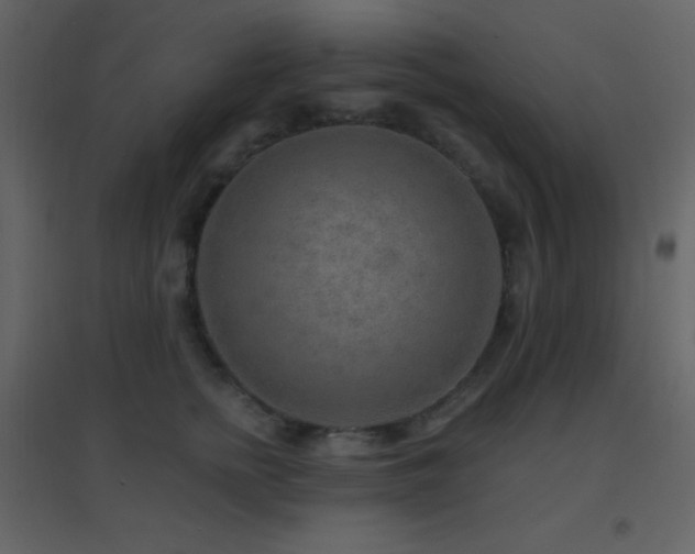 X0000096690758200802051346