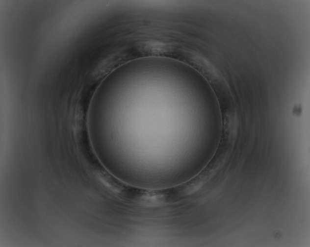 X0000096690760200802051346