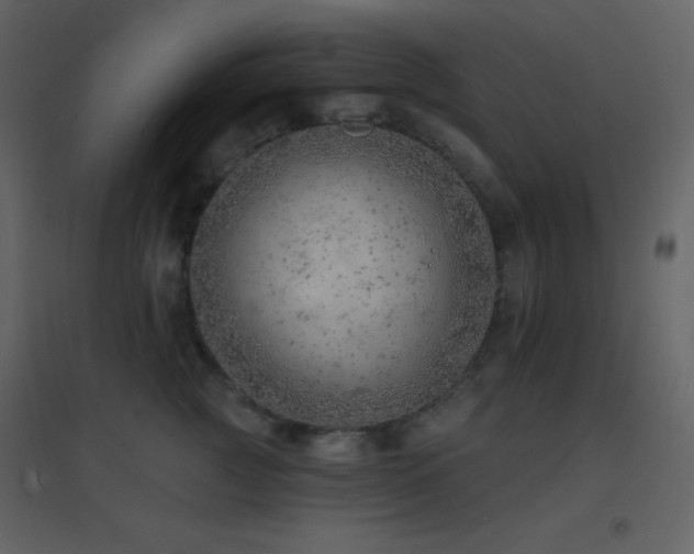 X0000096690761200802051346