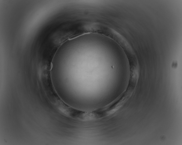 X0000096690762200802051346