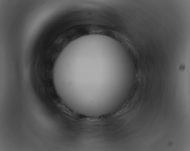 X0000096690763200802051346