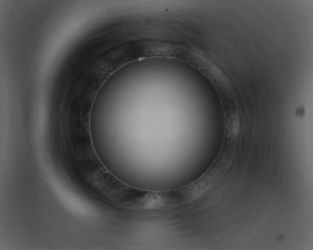 X0000096690764200802051346