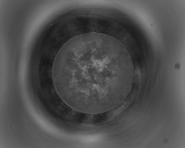 X0000096690765200802051346