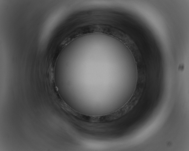 X0000096690766200802051346