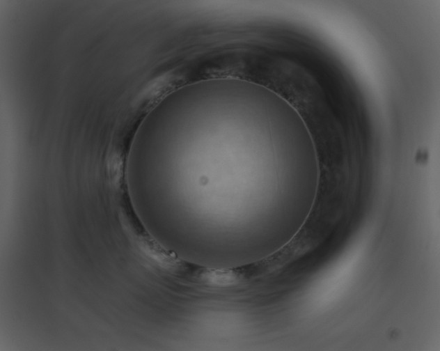 X0000096690767200802051346