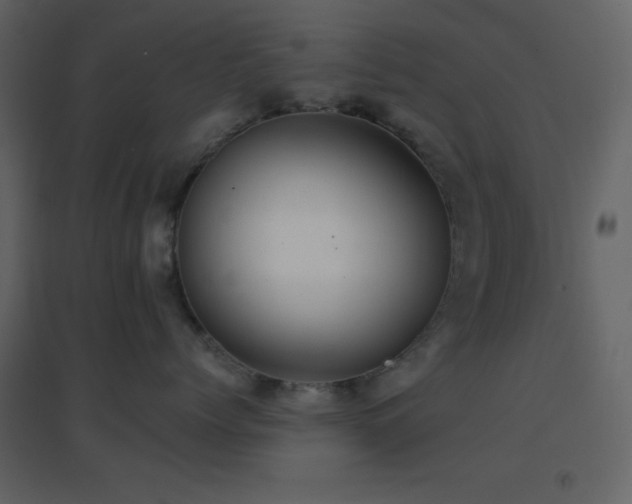 X0000096690768200802051346