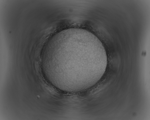 X0000096690769200802051346