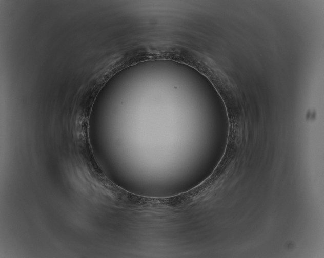 X0000096690770200802051346