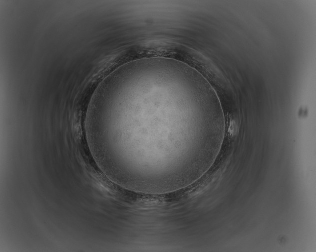 X0000096690771200802051346