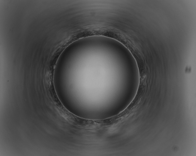 X0000096690772200802051345