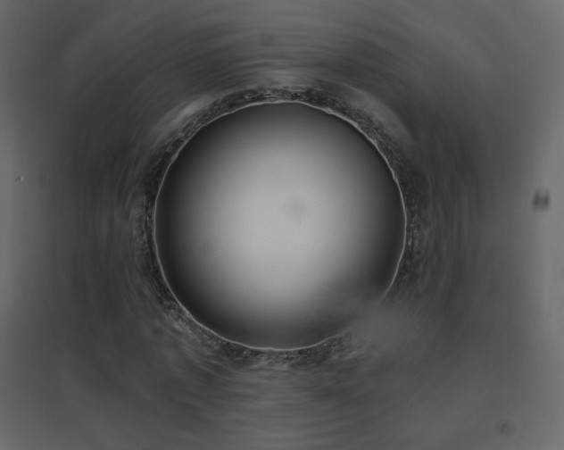 X0000096690773200802051345