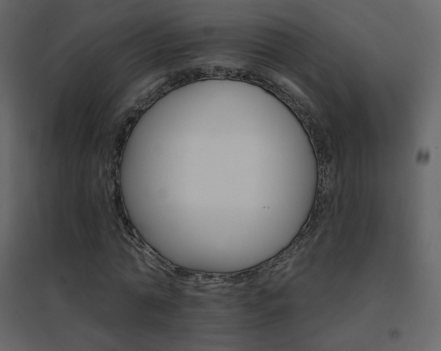 X0000096690774200802051345