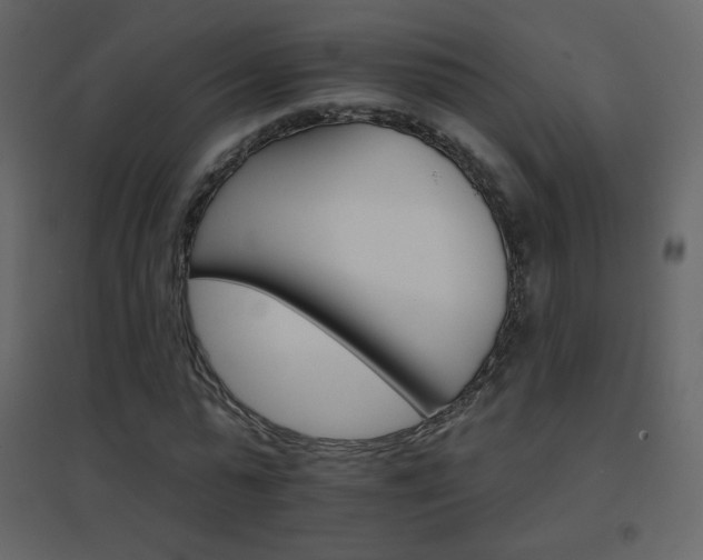 X0000096690775200802051345