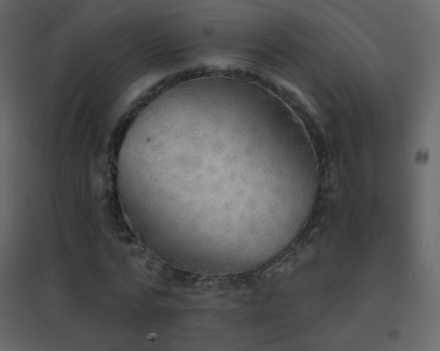 X0000096690776200802051345