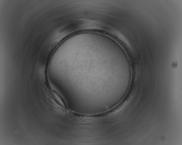 X0000096690777200802051345