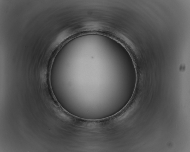 X0000096690778200802051345