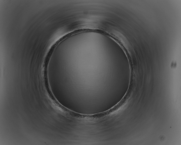 X0000096690779200802051345