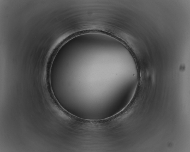 X0000096690780200802051345