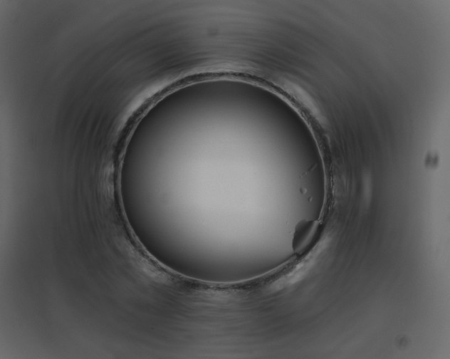 X0000096690781200802051345