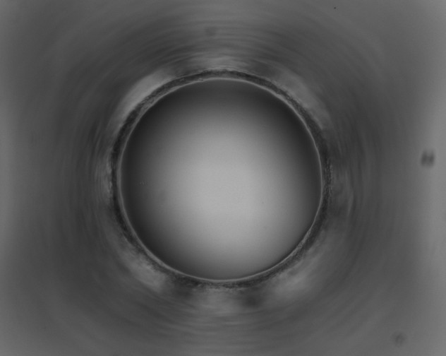 X0000096690782200802051345