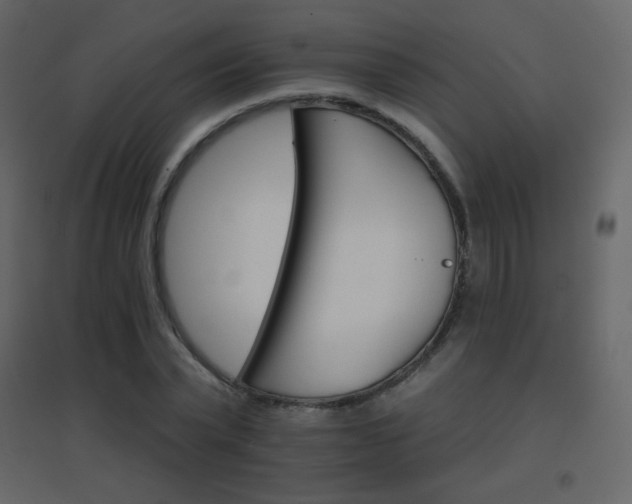 X0000096690783200802051345