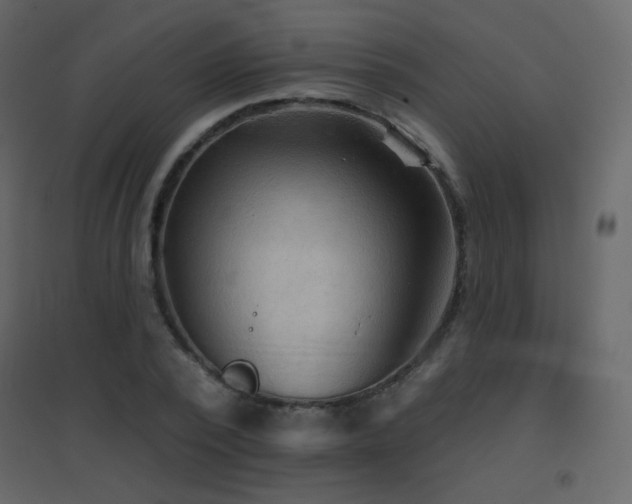 X0000096690784200802051345