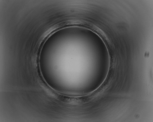 X0000096690786200802051345