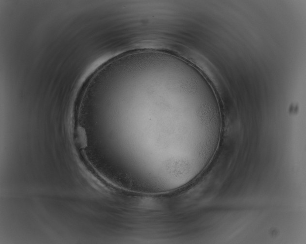 X0000096690787200802051345