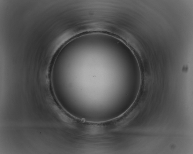 X0000096690789200802051345